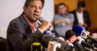 brasil, fernando haddad