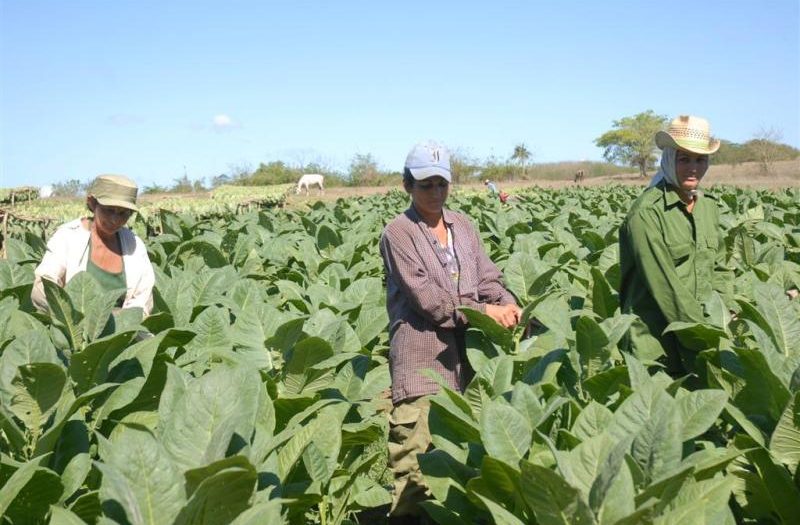 sancti spiritus, X congreso de la FMC, federacion de mujeres cubanas