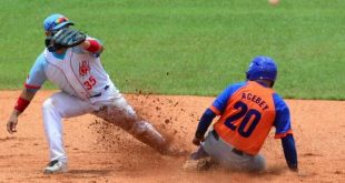 Béisbol, Gallos, Tigres