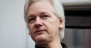 ecuador, julian assange, wikileaks
