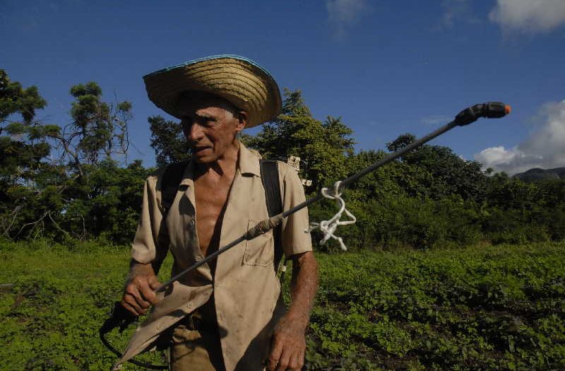 sancti spiritus, sanidad vegetal, medios biologicos, plagas