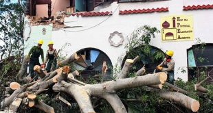 Tormenta La Habana, muertes, recuperación