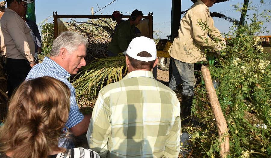 sancti Spíritus, presidente de cuba en sancti spiritus, miguel diaz-canel bermudez, la sierpe, sur del jibaro, empresa agroindustrial de granos