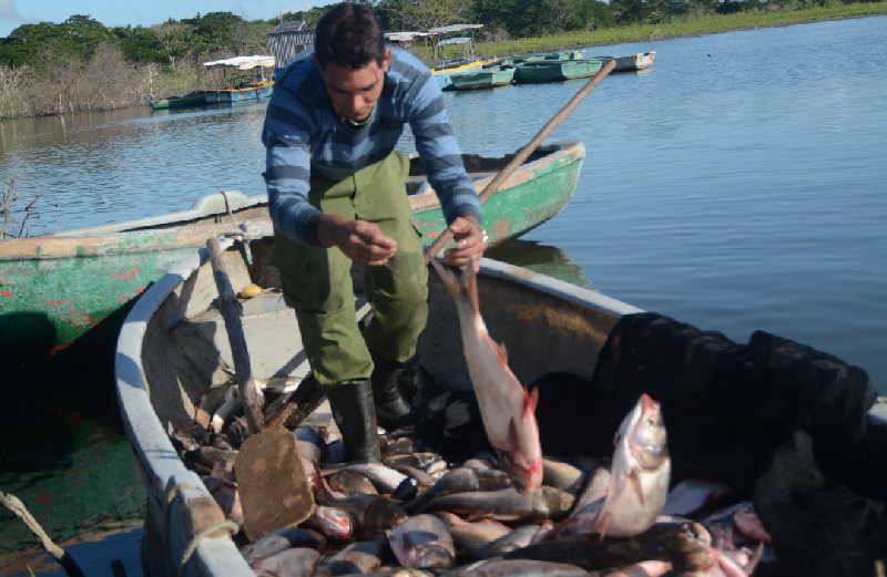 pesca, acuicultura, Sancti Spíritus