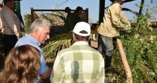 cuba, ministerio de la agricultura, agricultura, miguel diaz-canel, produccion de alimentos, presidente de cuba