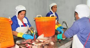 sancti spiritus, federacion de mujeres cubanas, fmc, x congreso de la fmc