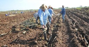 Jóvenes, 4 de abril, Sancti Spíritus