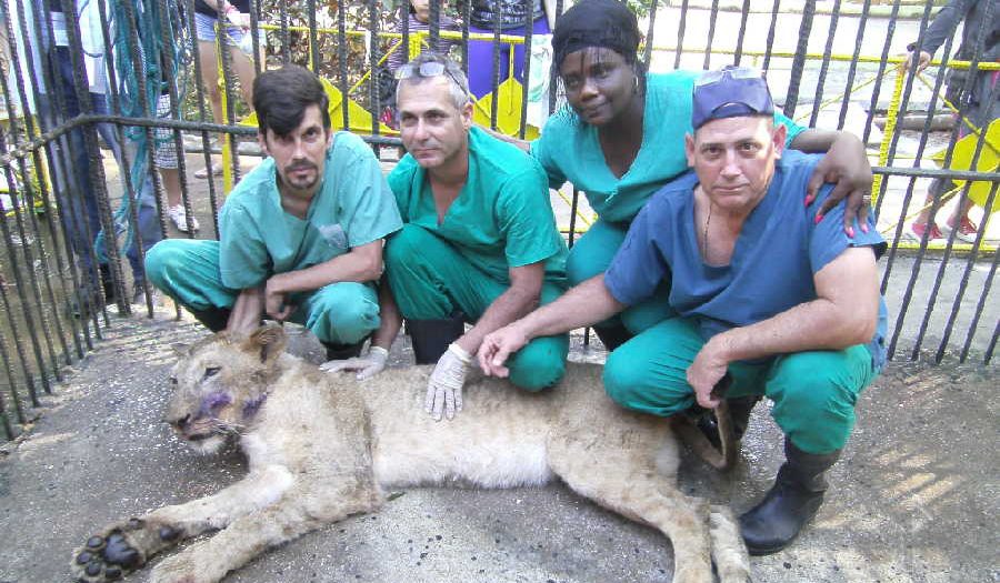 sancti spiritus, zoologico, el bosque, medicina veterinaria