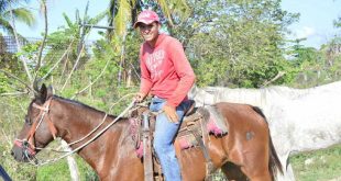 sancti spiritus, ganaderia, ganado vacuno, matadero