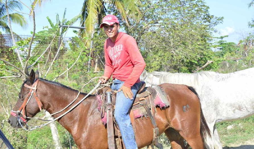 sancti spiritus, ganaderia, ganado vacuno, matadero