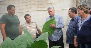 cabaiguan, tabaco tapado, campesinos, dia del campesino