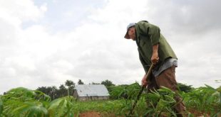 cuba, cooperativas, agricultura, alimentos