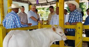 cuba, granma, miguel díaz-canel, presidente de cuba