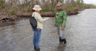 sancti spiritus, parque nacional caguanes, ecosistemas, huracan irma, yaguajay