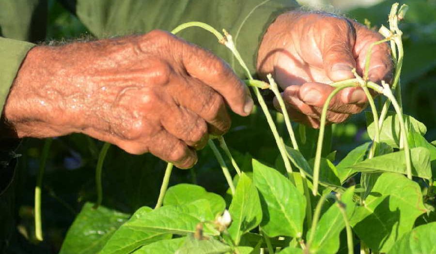 sancti spiritus, ciencia y tecnica, cambio climatico, agroecologia