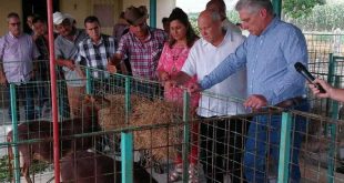 camagüey, miguel diaz-canel, presidente de cuba