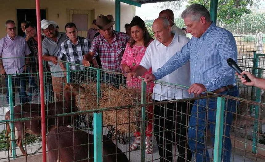 camagüey, miguel diaz-canel, presidente de cuba