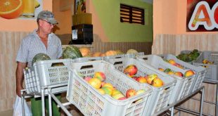 sancti spiritus, acopio, productos agricolas, taguasco, ministerio de la agricultura, mercado de nuevo tipo