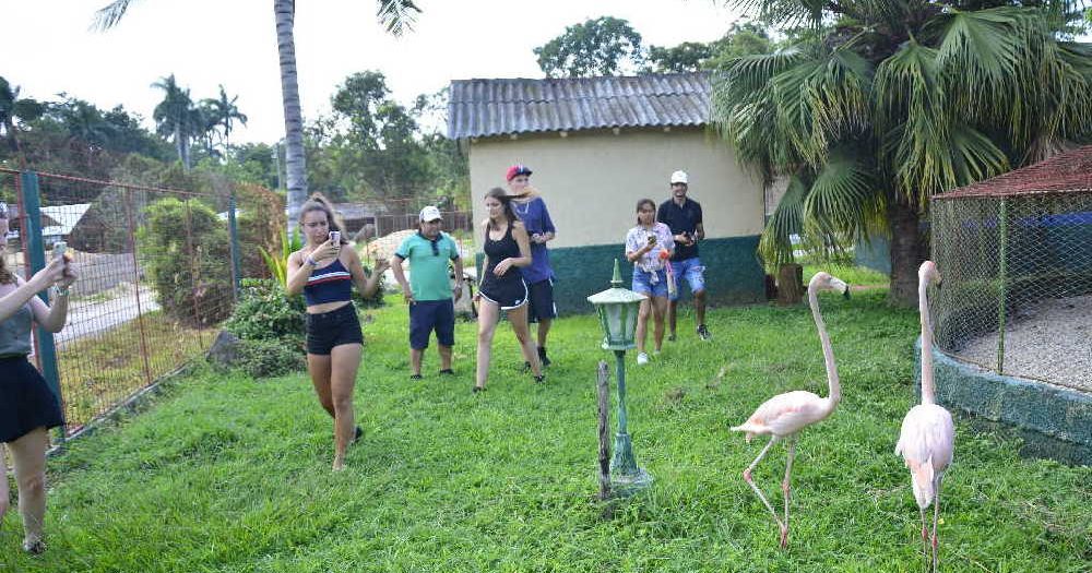 sancti spiritus, verano, etapa estival, flora y fauna, yaguajay, rancho querete