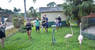 sancti spiritus, verano, etapa estival, flora y fauna, yaguajay, rancho querete