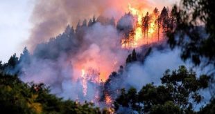 Brasil, incendios, Amazonía