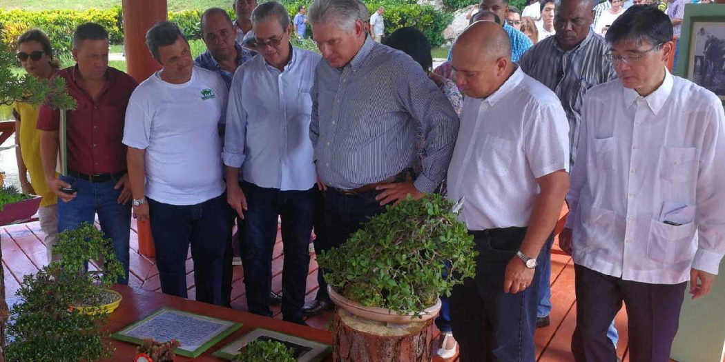 cuba, la habana, jardin botanico, miguel diaz-canel bermudez, presidente de cuba