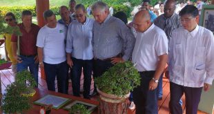 cuba, la habana, jardin botanico, miguel diaz-canel bermudez, presidente de cuba