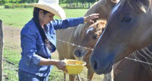 sancti spiritus, mujeres, caballos de raza, vaquera, rodeo cubano