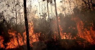 brasil, incendios, amazonia, canciller cubano, bruno rodriguez parrilla