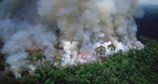 brasil, incendio, medio ambiente
