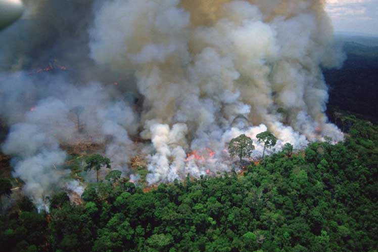 brasil, incendio, medio ambiente