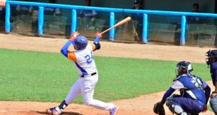 Béisbol, Gallos, Serie Nacional