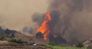 españa, islas canarias, incendio, bomberos