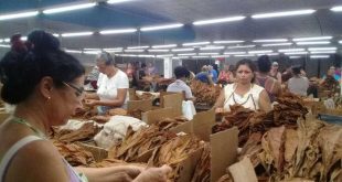 cuba, fmc, miguel diaz-canel, federeacion de mujeres cubanas