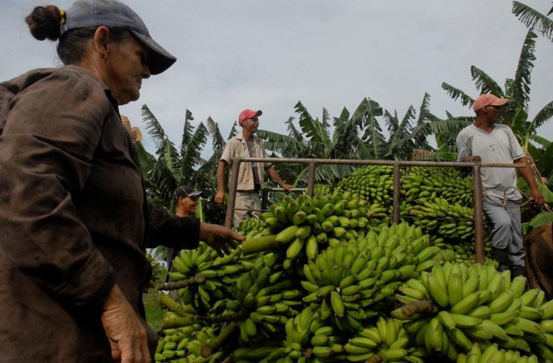 sancti spiritus, agricultura, combustible, energia electrica, miguel diaz-canel, presidente de cuba