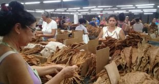 sancti spiritus, tabacuba, tabaco torcido, tabaco