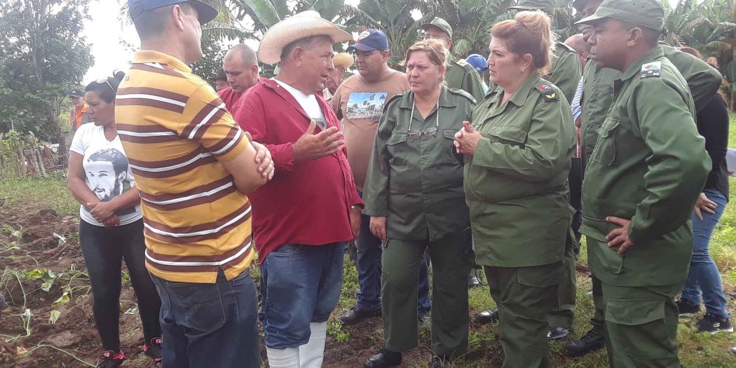 Defensa, Guasimal, Consaejo de Defensa