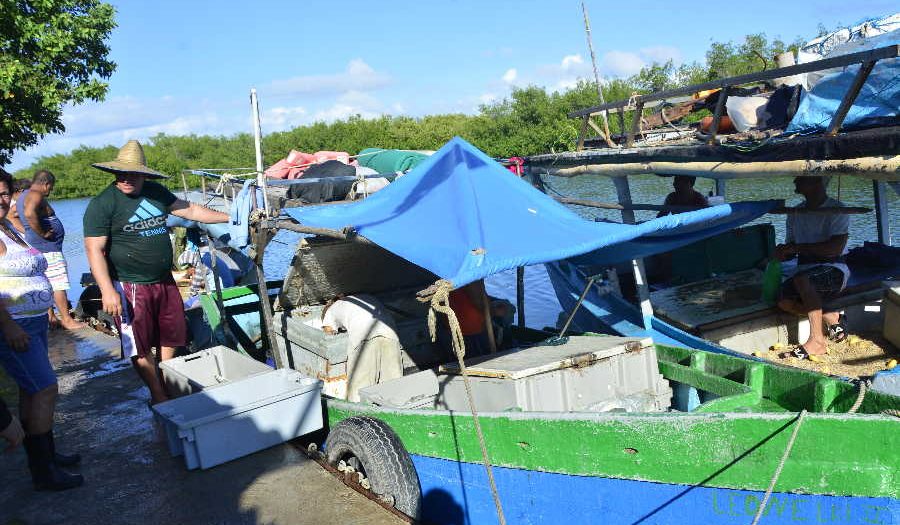 Pesca, Tunas de Zaza, velas