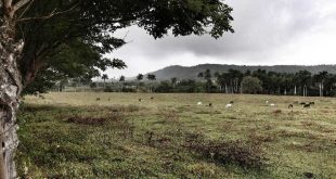 jatibonico, arroyo blanco, historia de cuba, serafin sanchez valdivia