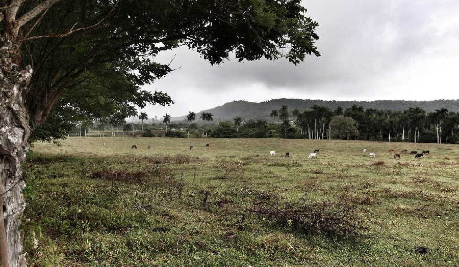 jatibonico, arroyo blanco, historia de cuba, serafin sanchez valdivia