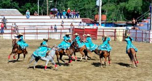 Feria ganadera, Sancti Spíritus, ganadería