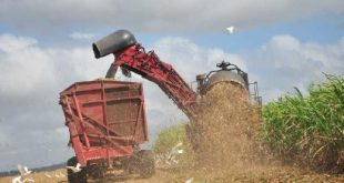 cuba, zafra azucarera, industria azucarera, alcohol