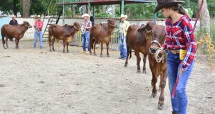 sancti spiritus, feria del cebu cubano