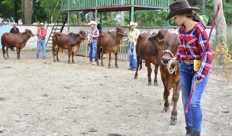 sancti spiritus, feria del cebu cubano