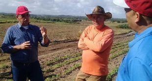 sancti spiritus, agricultura, tabaco tapado, cultivos varios, apicultura, planta de beneficio de miel