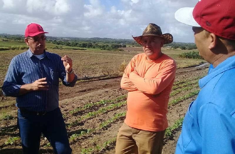 sancti spiritus, agricultura, tabaco tapado, cultivos varios, apicultura, planta de beneficio de miel