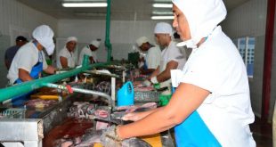 cuba, economia cubana, movimiento obrero, central de trabajadores de cuba, ctc