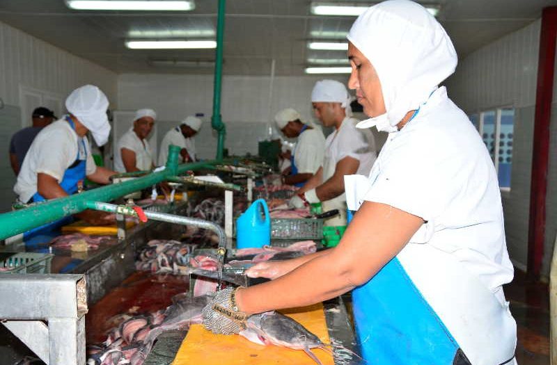 cuba, economia cubana, movimiento obrero, central de trabajadores de cuba, ctc