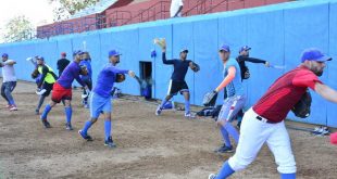 Béisbol, Gallos, Serie Nacional