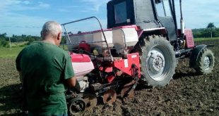 sancti spiritus, ciencia y tecnica, maiz hibrido, jarahueca, cigb